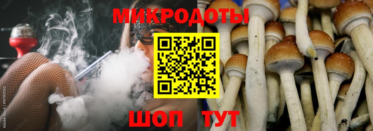 Псилоцибиновые грибы прущие грибы Крымск