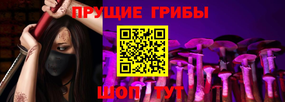 Крымск  Псилоцибиновые грибы прущие грибы  Вход с VPN 